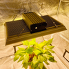 Hidropónico de 400 vatios LED Cultive la luz para las plantas de la olla