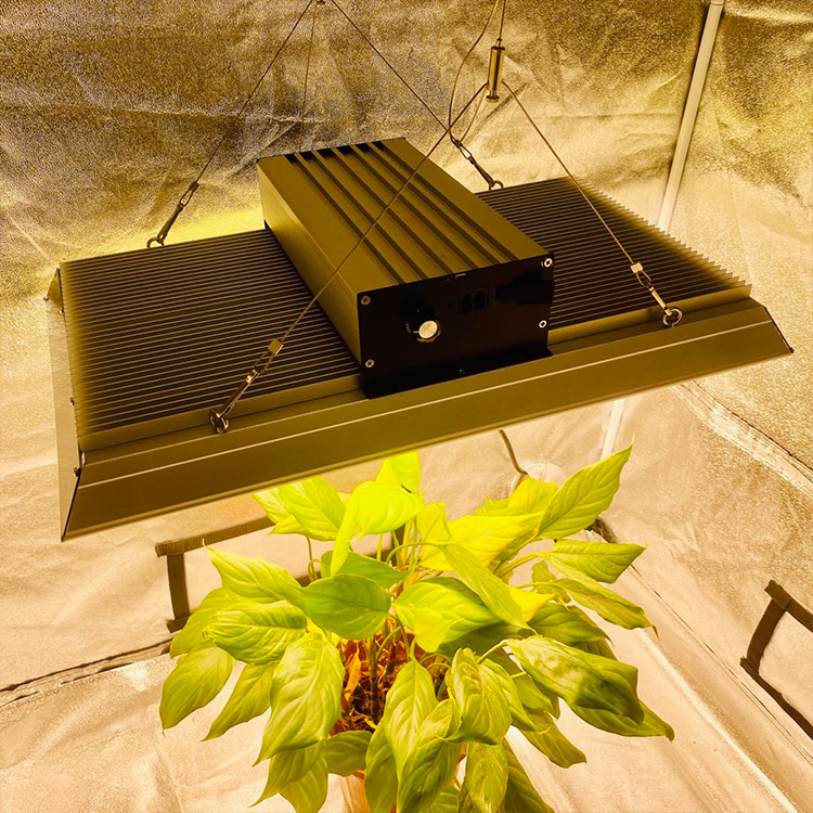 LED de jardín de bajo consumo de energía para plantas tropicales