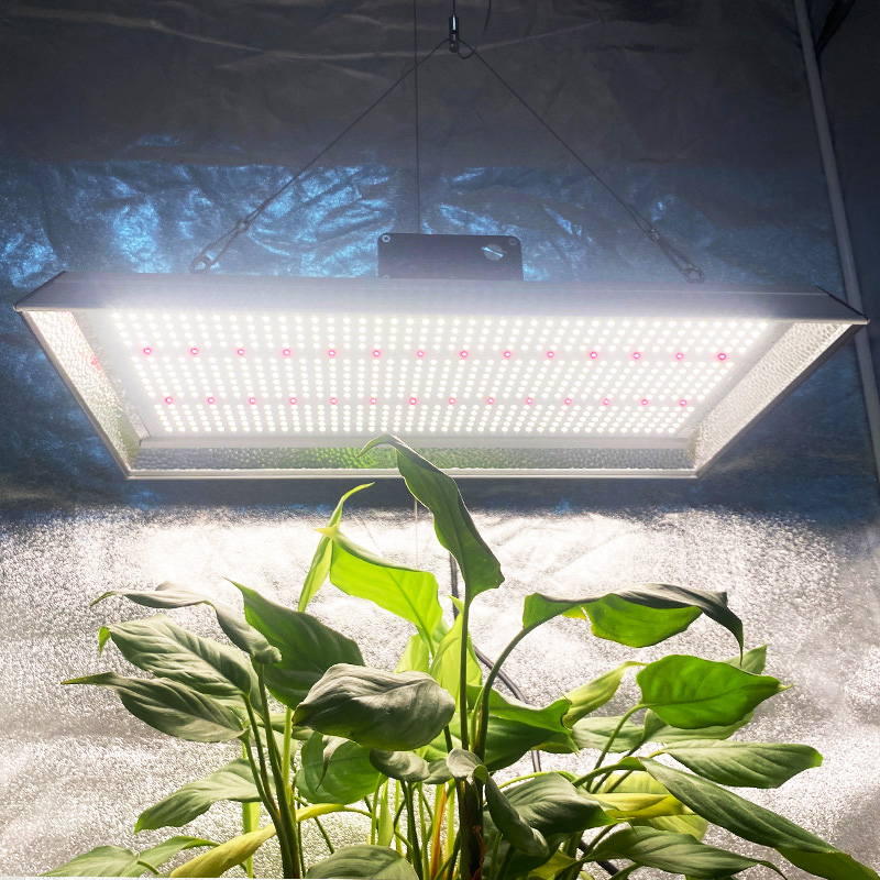 Luz de cultivo LED hortícola de 200w para plantas de maceta