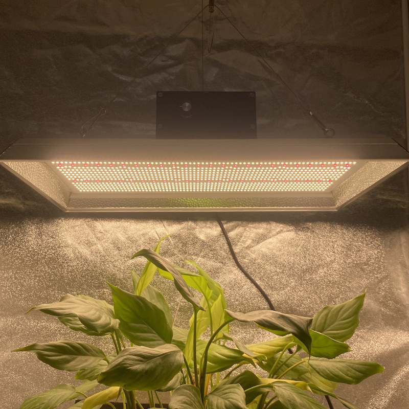 Smart Garden LED crece la luz para las plantas tropicales