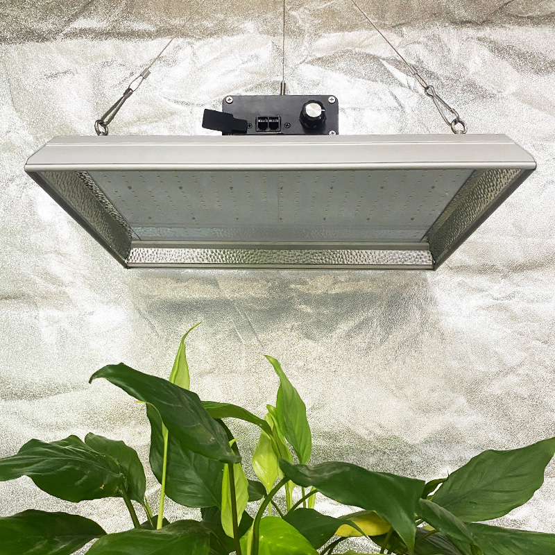 Luz de cultivo LED profesional de 100w para plantas tropicales