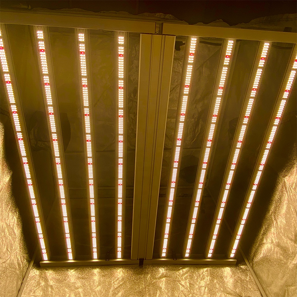 Hidropónica 1000W Araña LED Crece la luz