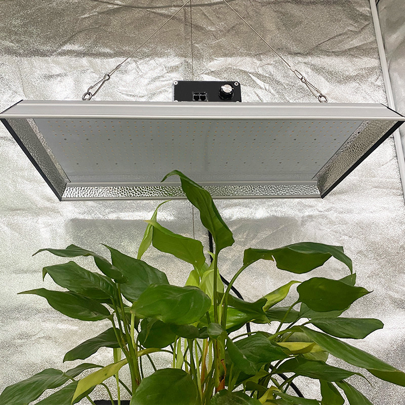 Luz de cultivo LED hortícola de 200w para plantas de maceta