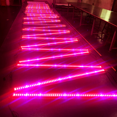 Luz de cultivo LED lineal impermeable de 60 vatios para plantas en maceta