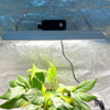 LED de invernadero cuántico Cultive la luz para los tomates
