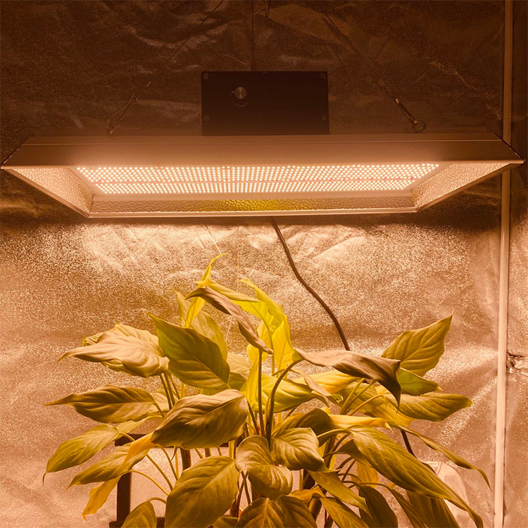 Smart Hydroponic LED crece la luz para los tomates